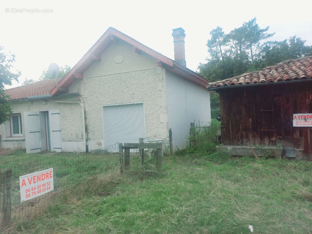 Maison à SANGUINET