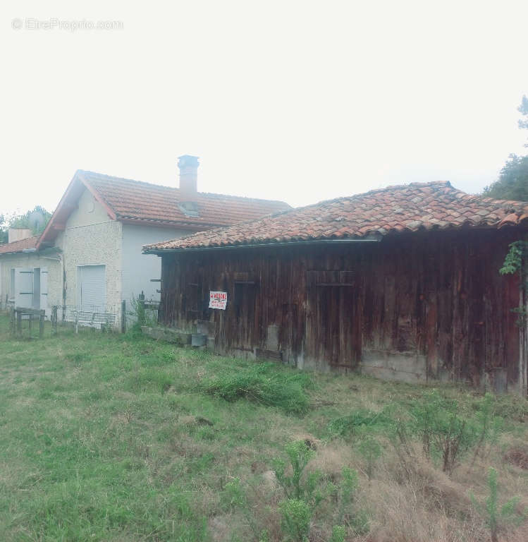 Maison à SANGUINET