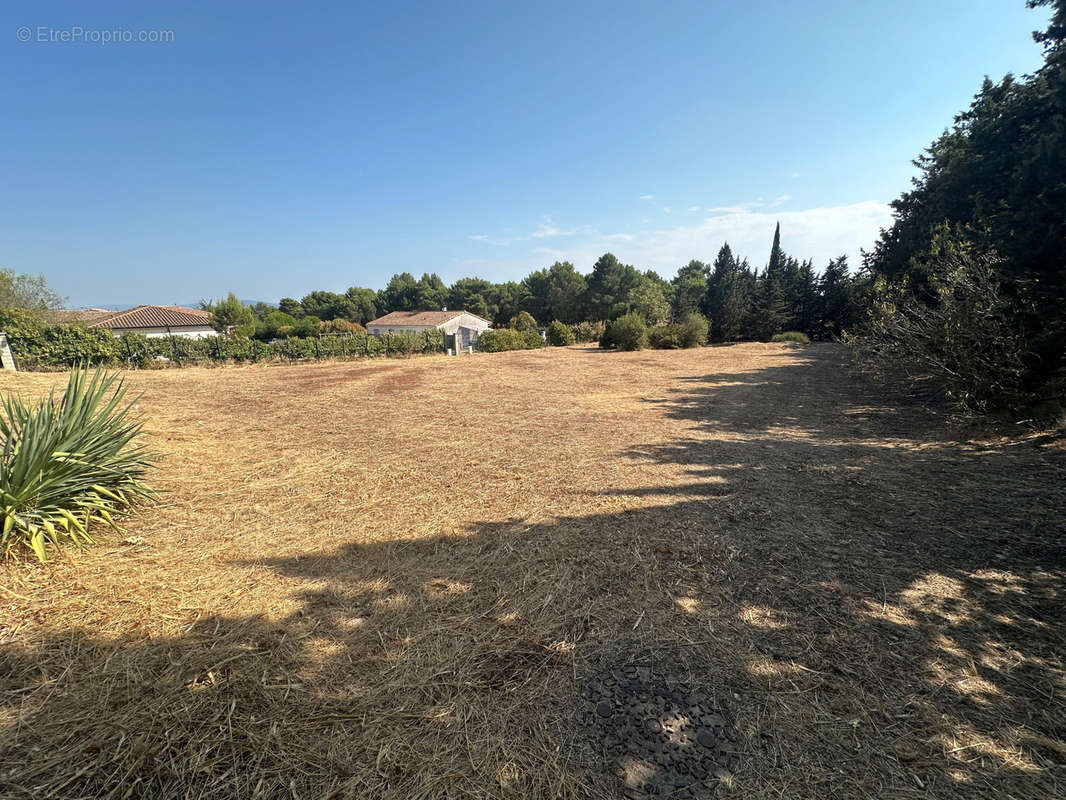 Terrain à VILLEMOUSTAUSSOU