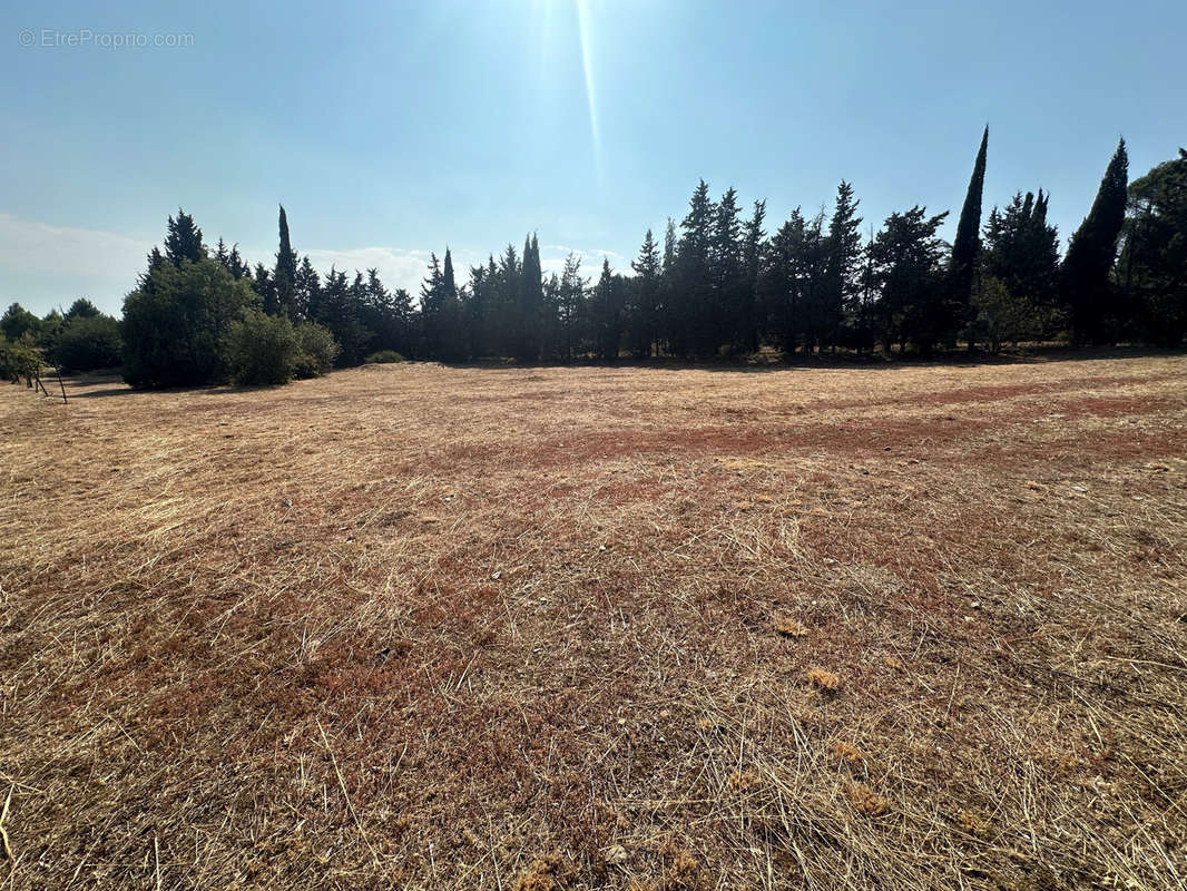 Terrain à VILLEMOUSTAUSSOU