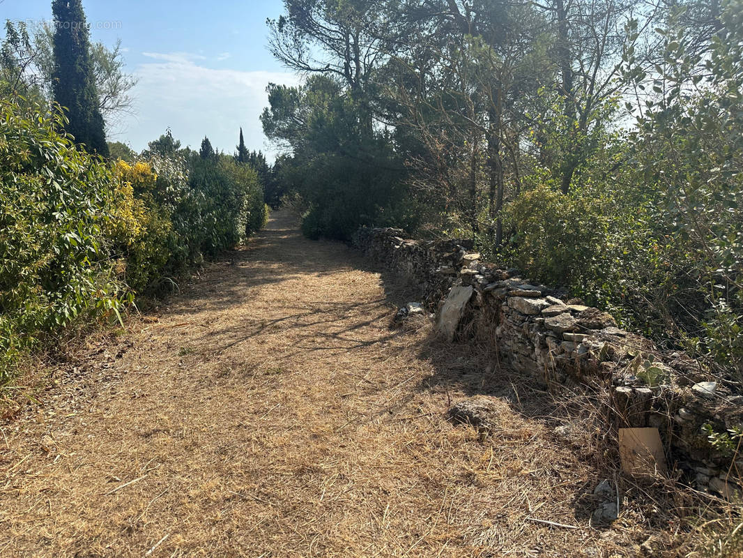 Terrain à VILLEMOUSTAUSSOU