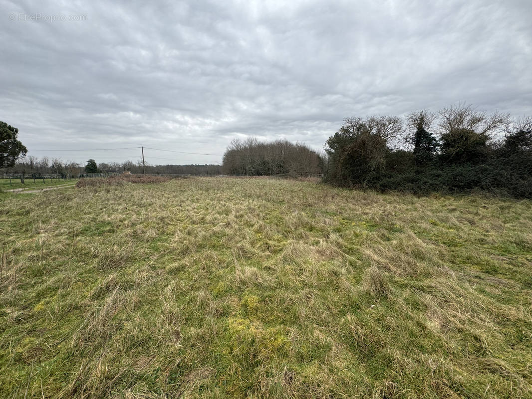 Terrain à SAINT-AUBIN-DE-BLAYE