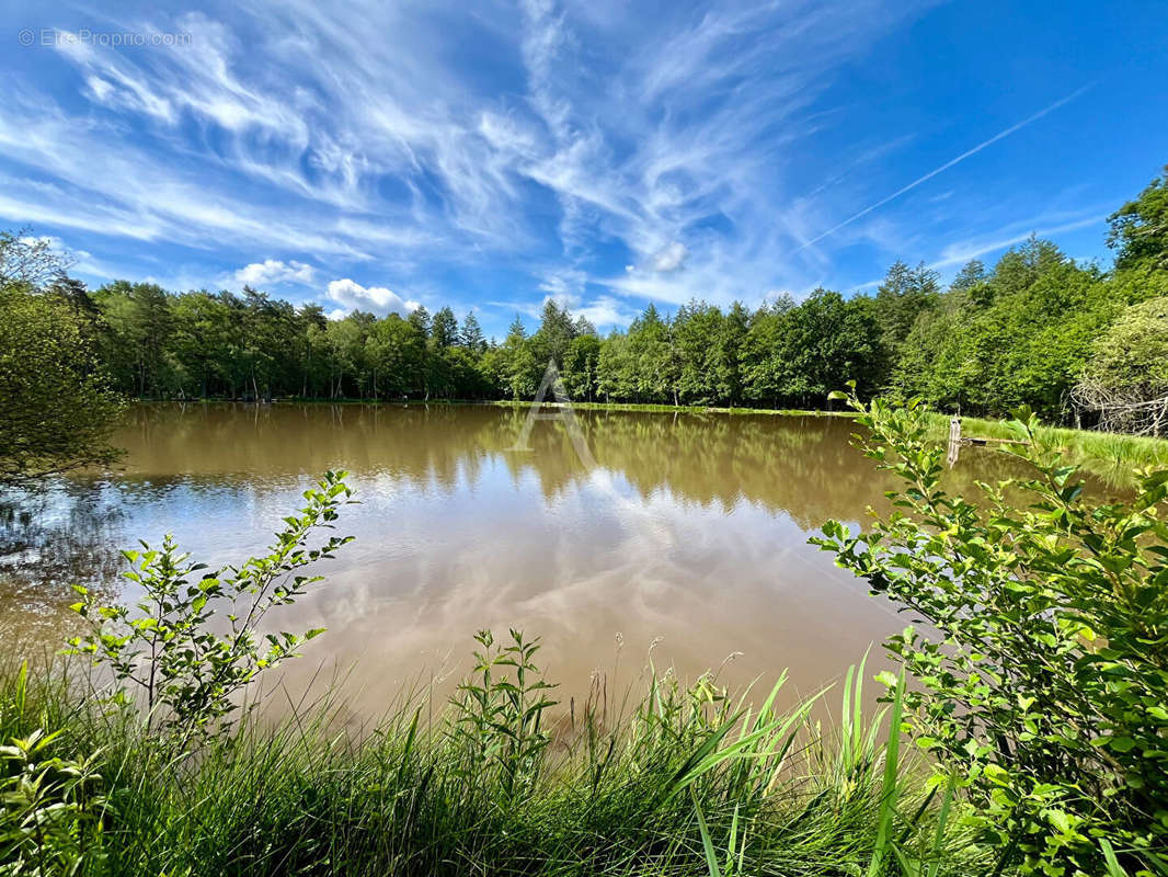 Terrain à LA FERTE-SAINT-AUBIN