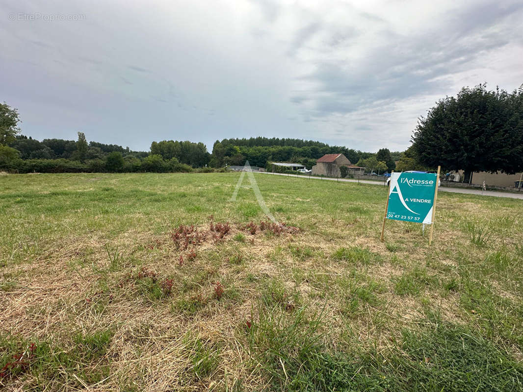 Terrain à CIVRAY-DE-TOURAINE