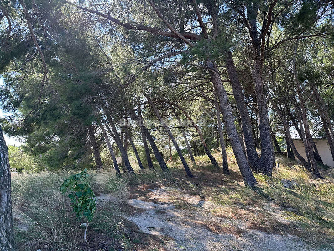 Terrain à MAUSSANE-LES-ALPILLES