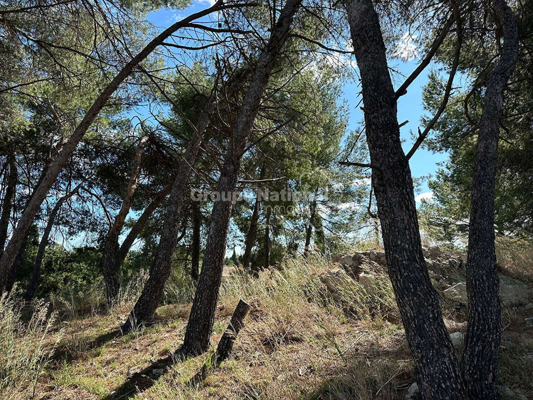 Terrain à MAUSSANE-LES-ALPILLES