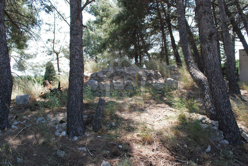 Terrain à MAUSSANE-LES-ALPILLES