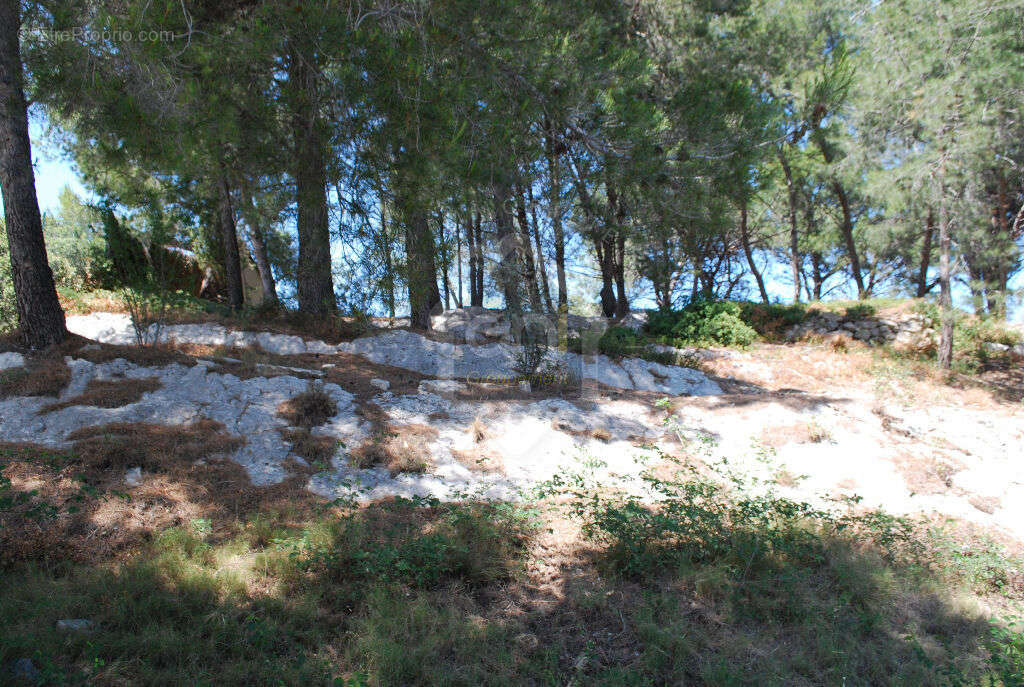 Terrain à MAUSSANE-LES-ALPILLES