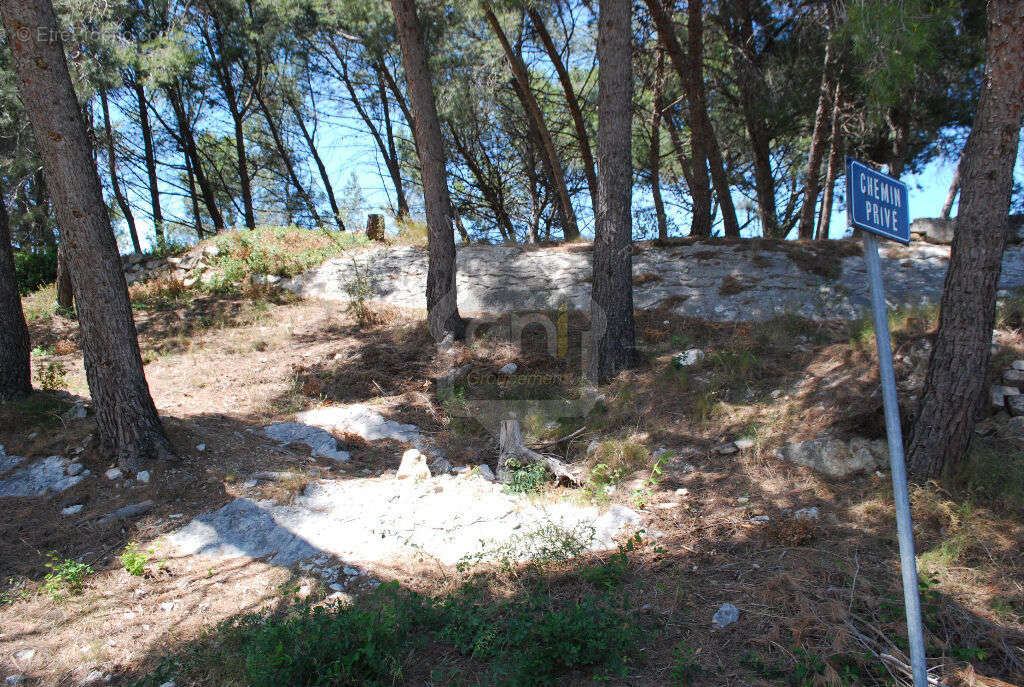 Terrain à MAUSSANE-LES-ALPILLES