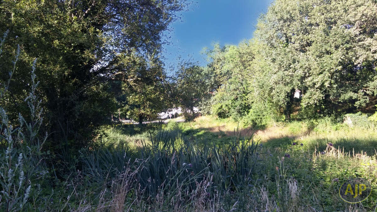 Terrain à SAINT-MACAIRE-EN-MAUGES