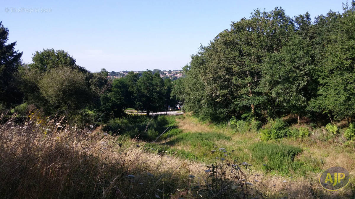 Terrain à SAINT-MACAIRE-EN-MAUGES