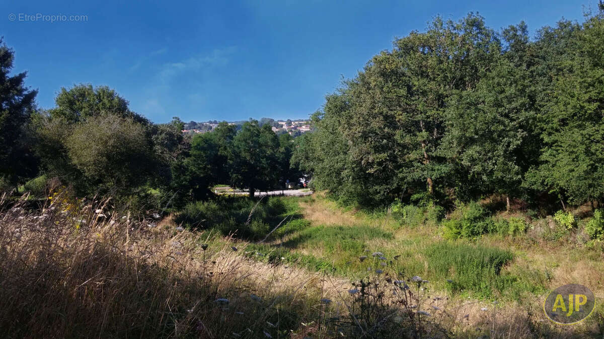 Terrain à SAINT-MACAIRE-EN-MAUGES