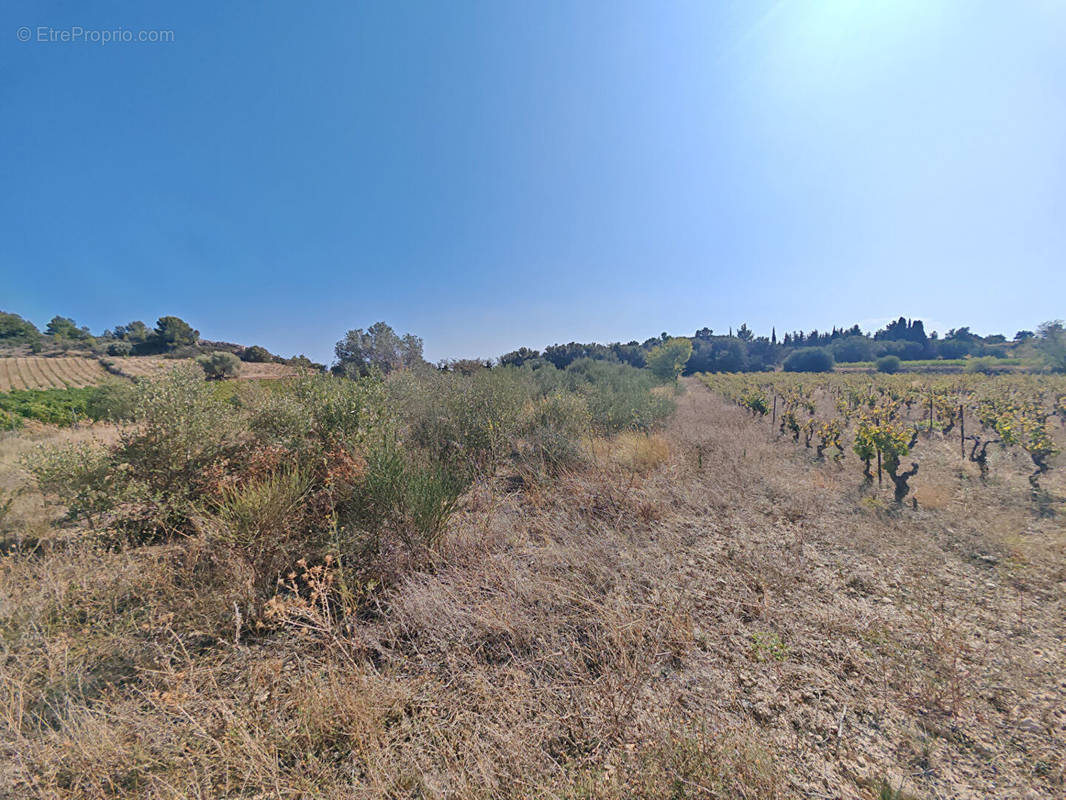 Terrain à BAGES