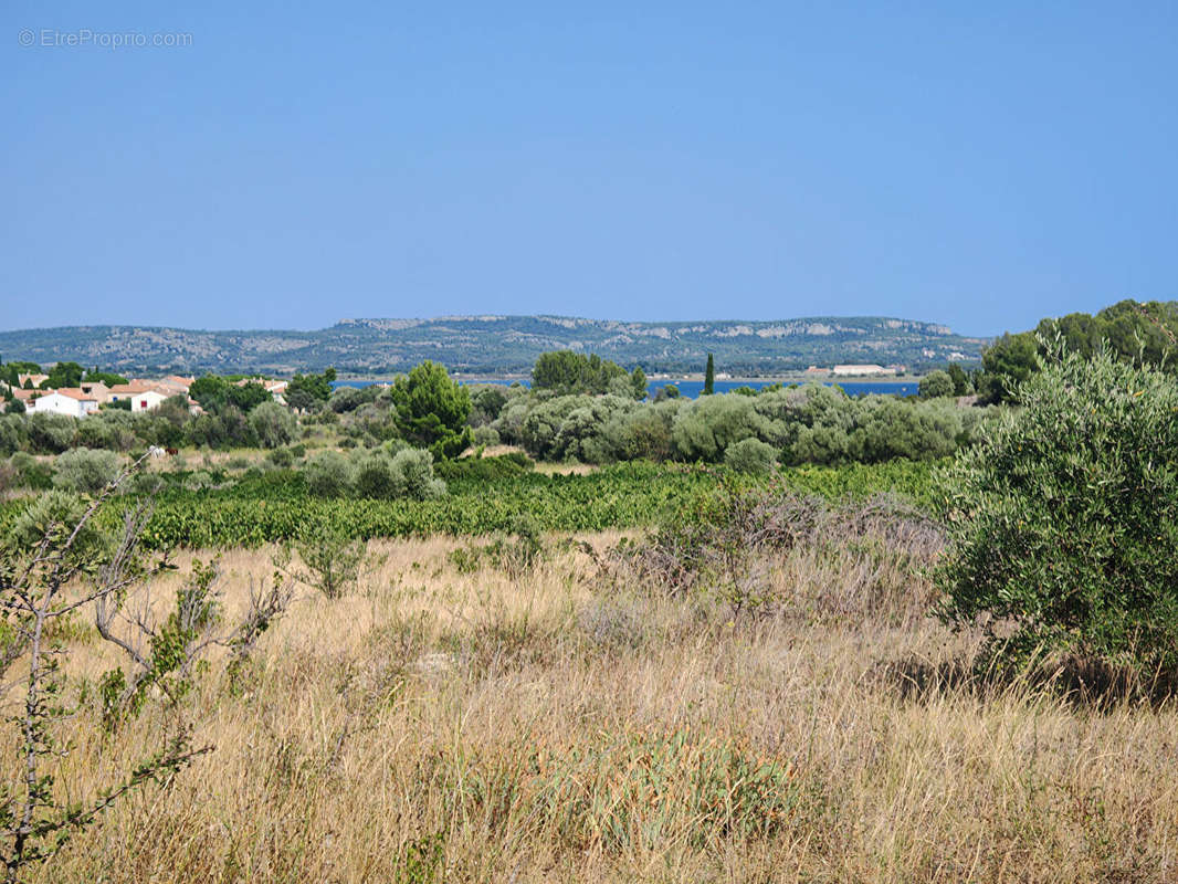 Terrain à BAGES