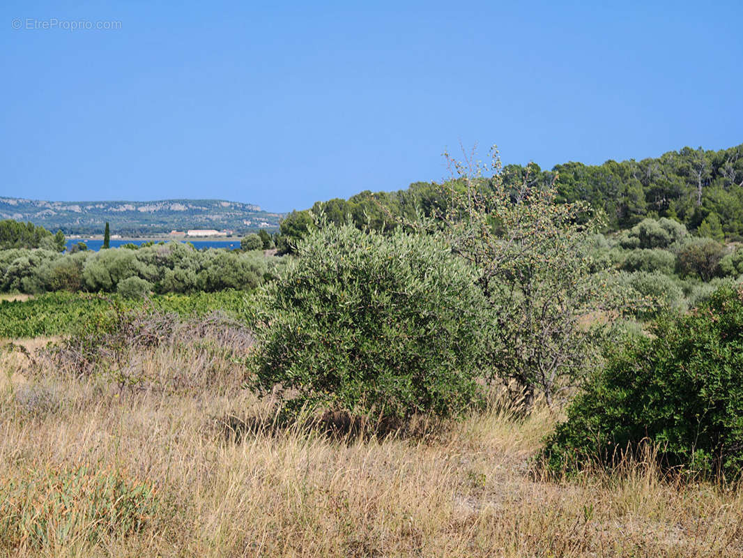 Terrain à BAGES