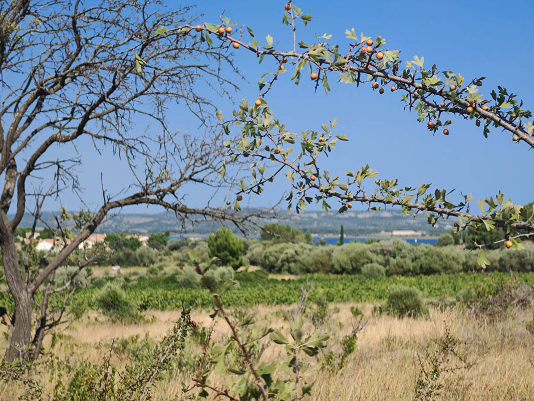 Terrain à BAGES