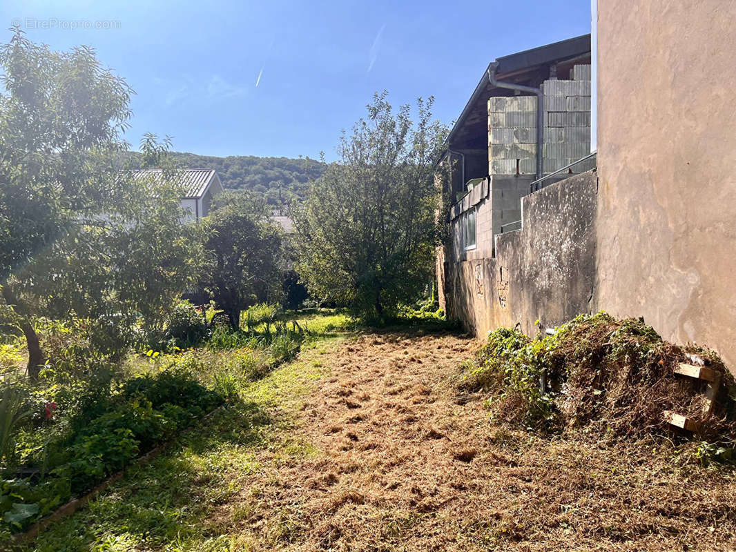 Appartement à LONGEVILLE-LES-SAINT-AVOLD