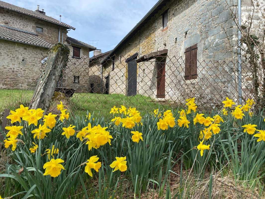 Maison à COMPREIGNAC