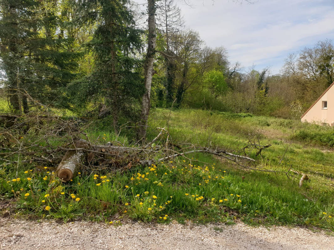 Terrain à ARCEAU