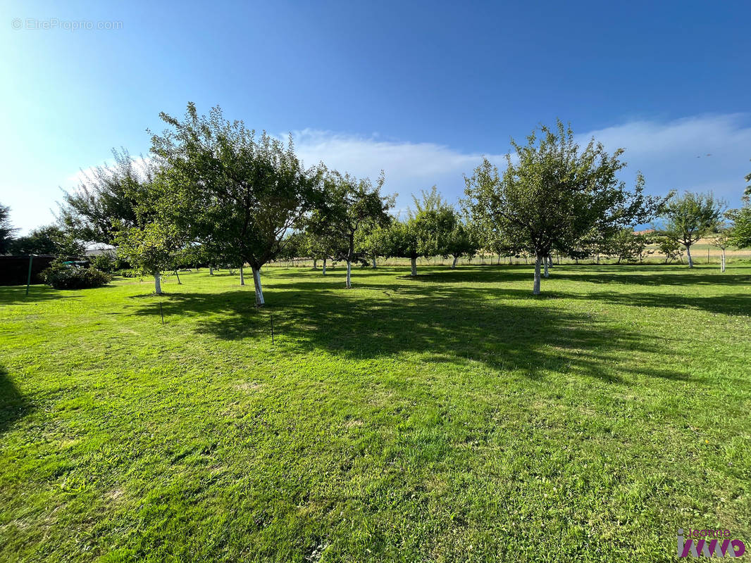 Terrain à ANGEOT