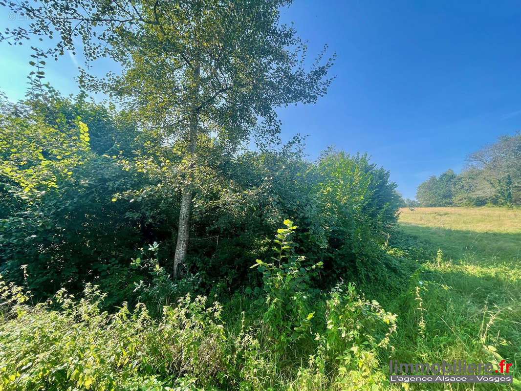 Terrain à PROVENCHERES-SUR-FAVE