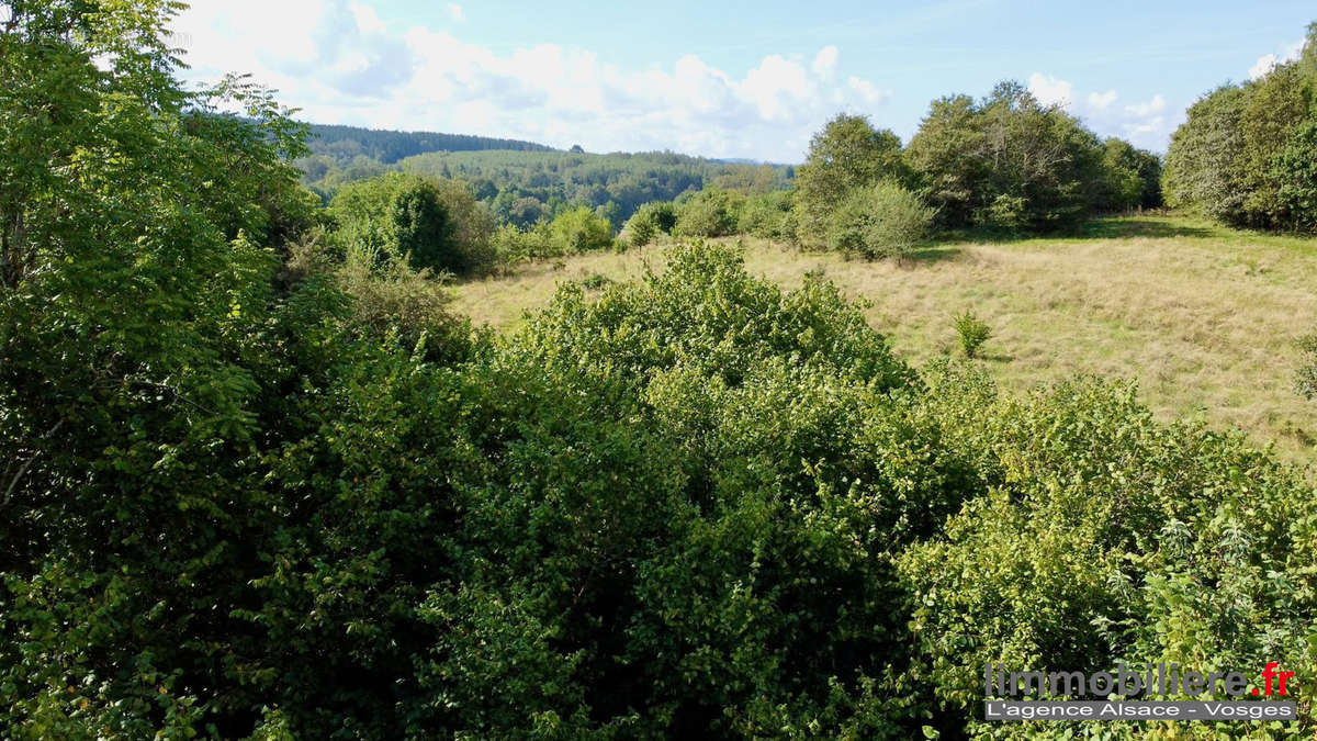 Terrain à PROVENCHERES-SUR-FAVE