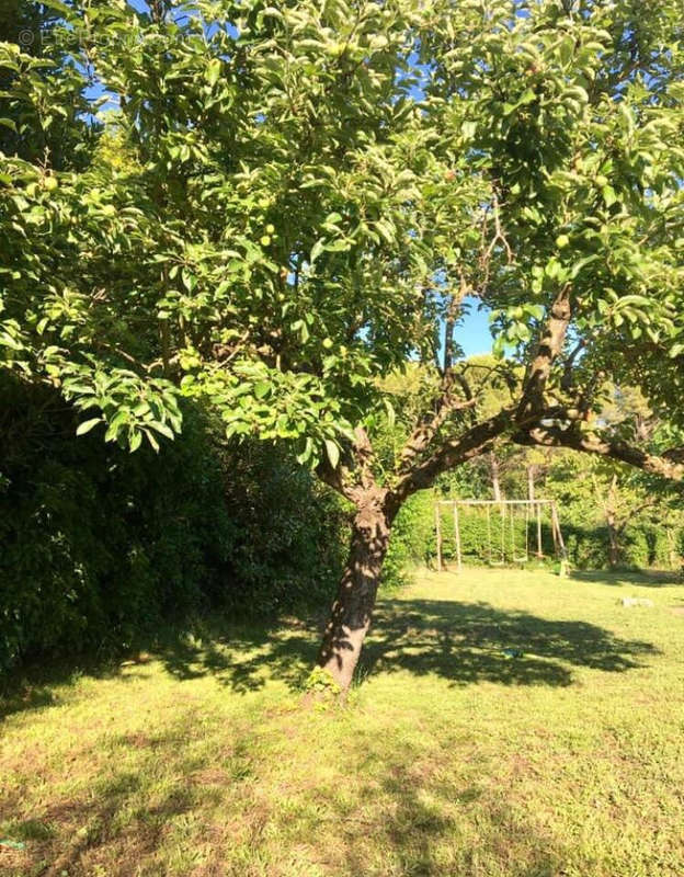 Appartement à MOUGINS