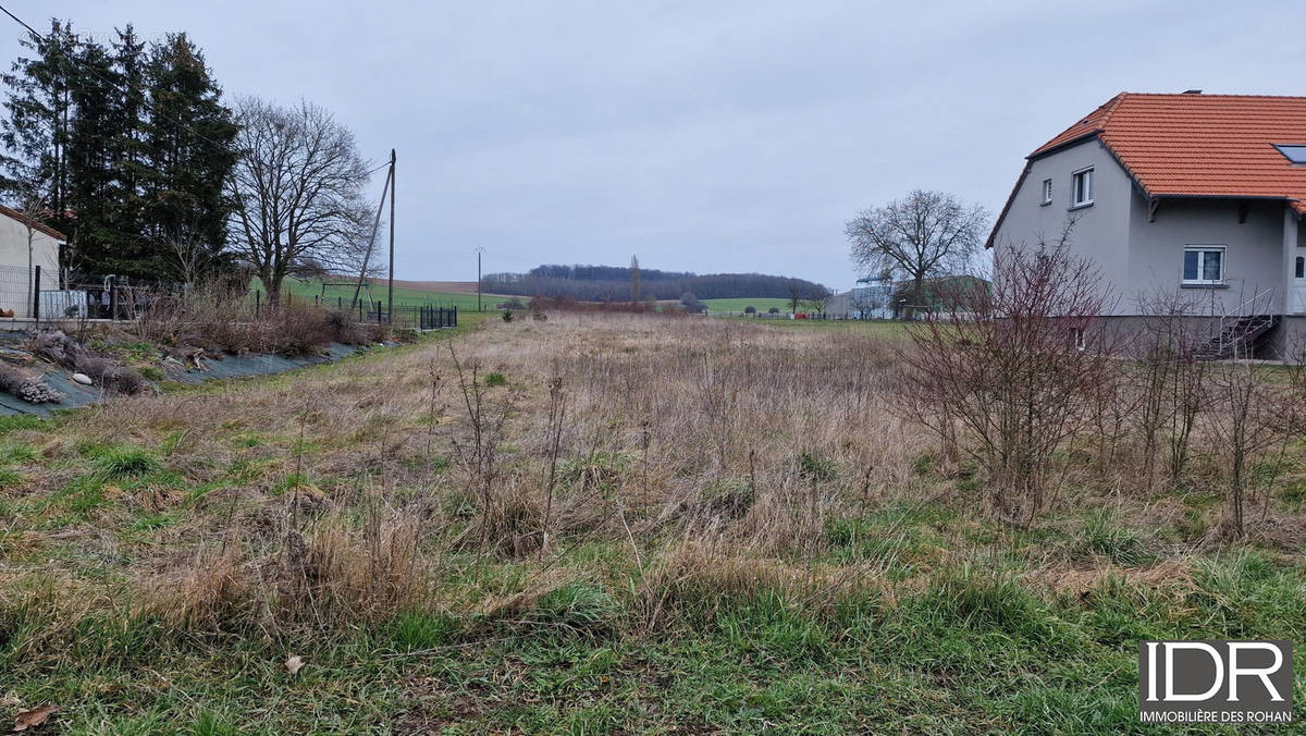 Terrain à GUEBLANGE-LES-DIEUZE