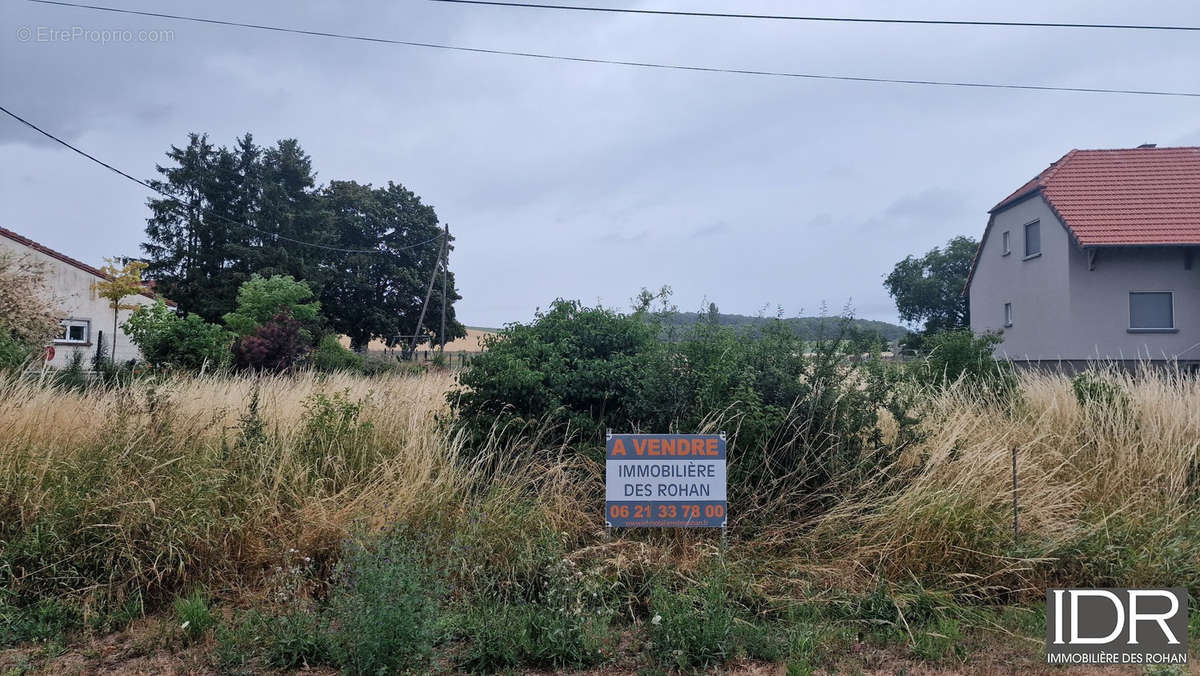 Terrain à GUEBLANGE-LES-DIEUZE