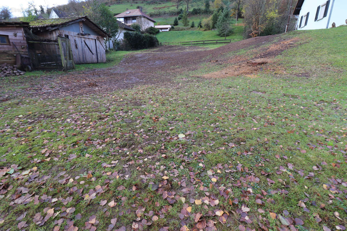 Terrain à BITSCHWILLER-LES-THANN