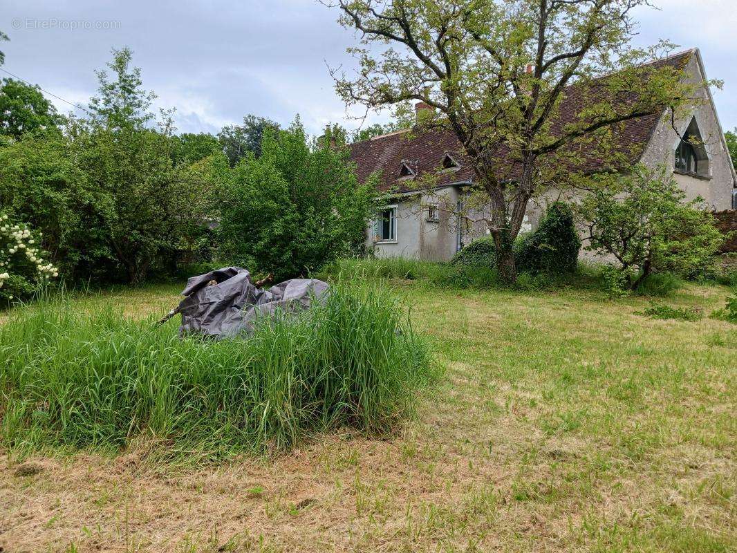 Maison à SELLES-SUR-CHER