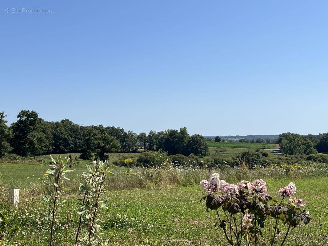 Terrain à SAINT-CYR