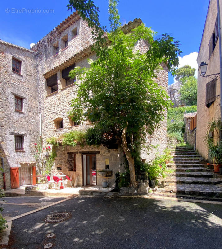 Maison à CHATEAUDOUBLE