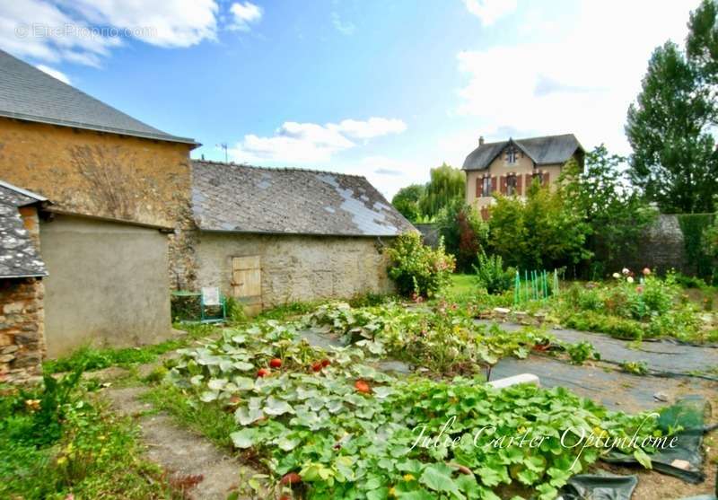 Maison à CHEMERE-LE-ROI