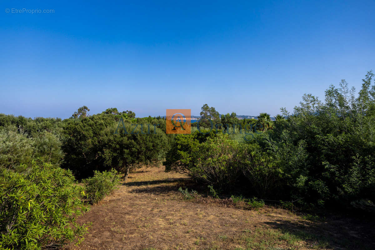 Terrain à GRIMAUD