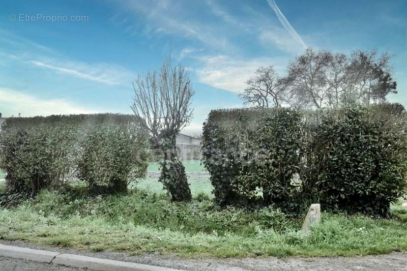 Terrain à VERINES