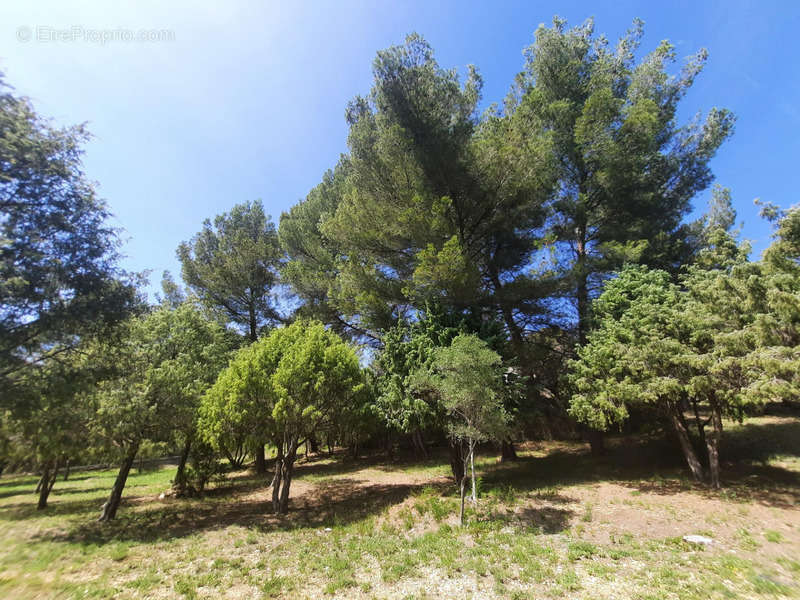 Maison à BAUDINARD-SUR-VERDON