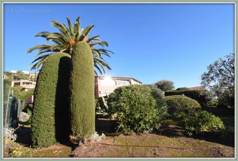 Appartement à THEOULE-SUR-MER