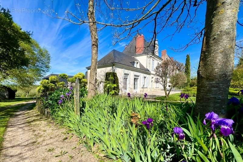 Maison à VILLEVEQUE