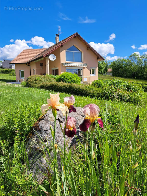 Maison à LOMPNIEU