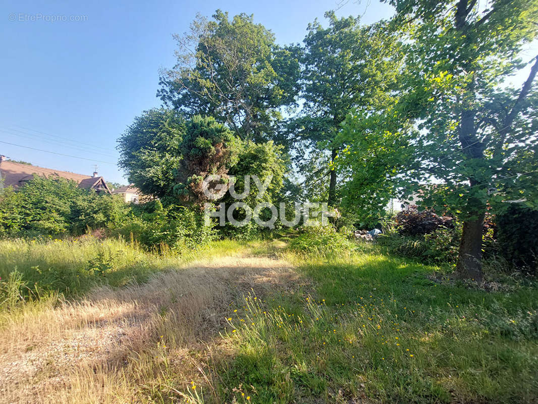 Terrain à OZOIR-LA-FERRIERE