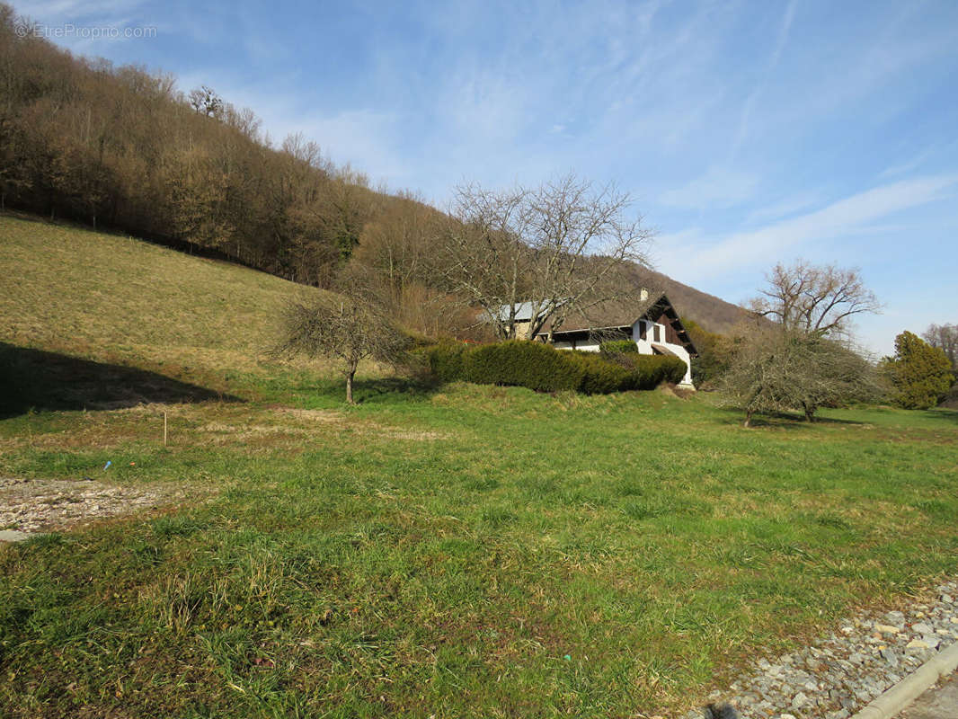 Terrain à LA TRINITE