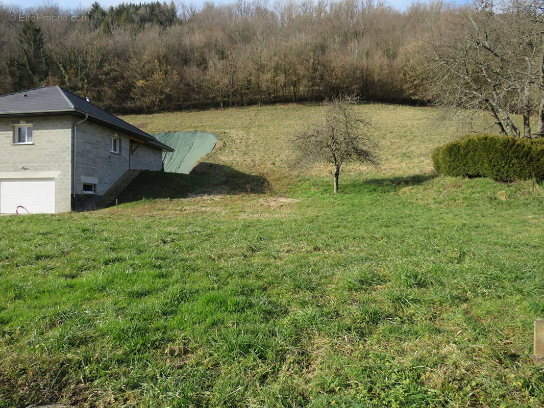 Terrain à LA TRINITE