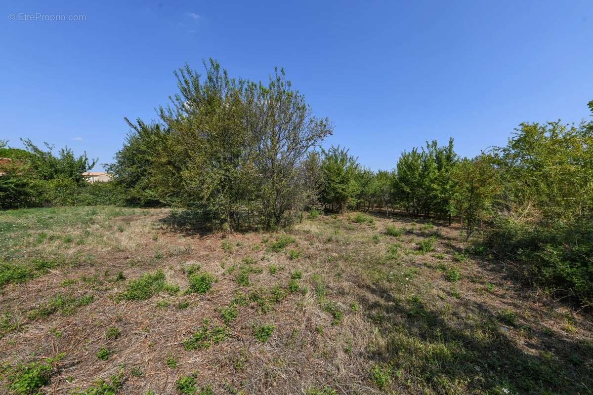 Terrain à UZES