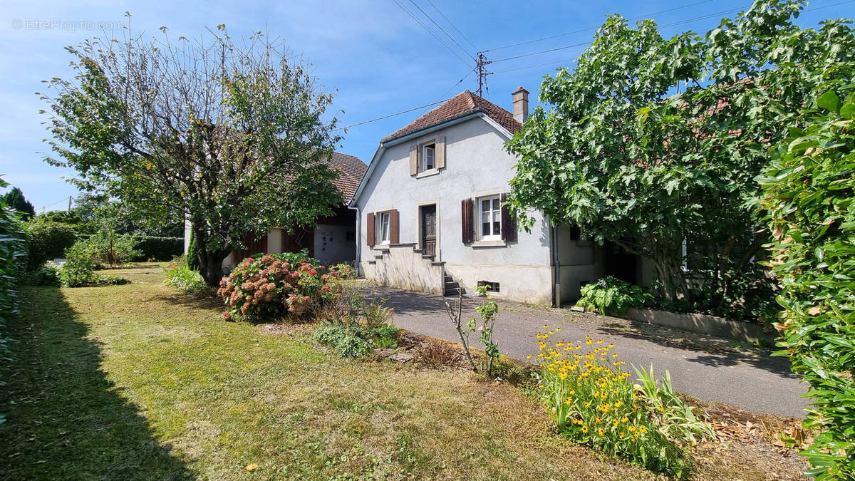 Maison à SPECHBACH-LE-HAUT