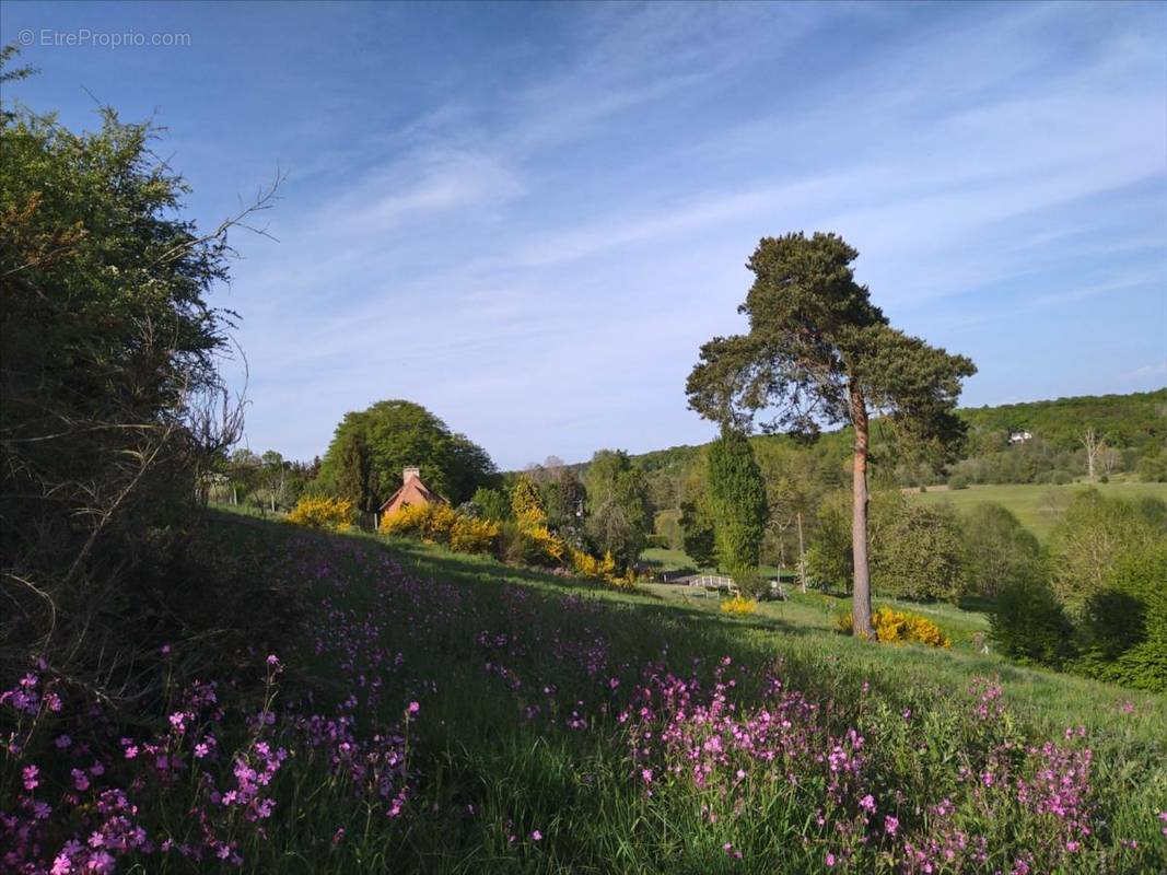 Terrain à LA TRINITE-DE-REVILLE