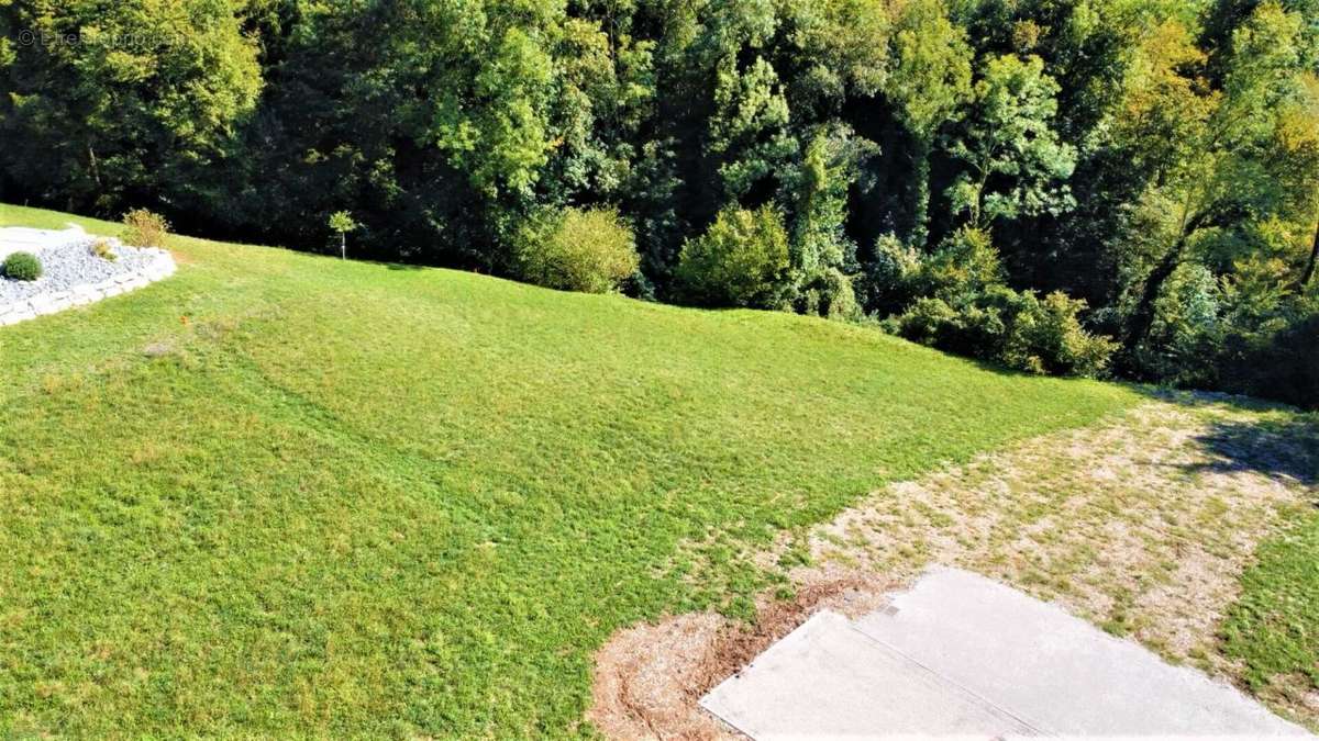 Terrain à SAINT-JULIEN-DE-RAZ