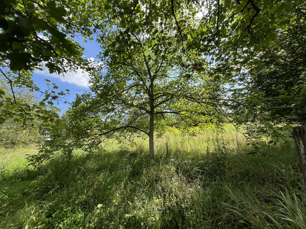 Terrain à COURMELLES