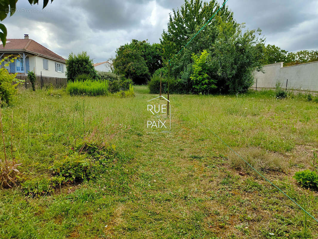 Maison à MIGNE-AUXANCES