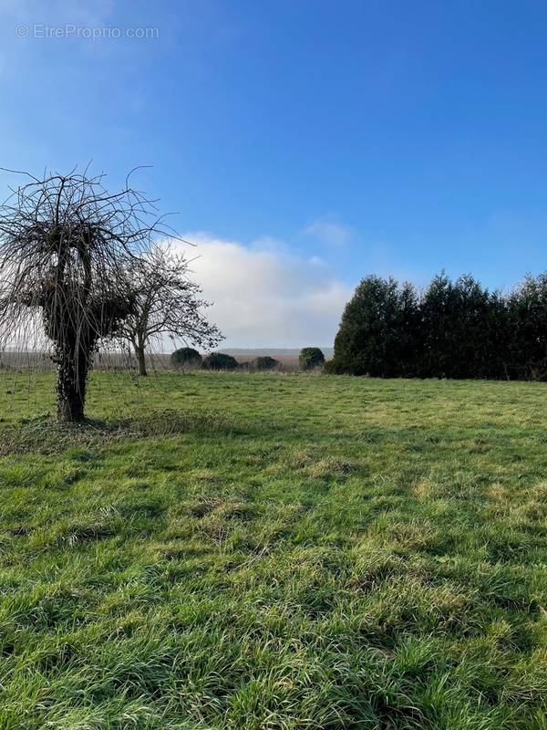 Terrain à CHAMANT